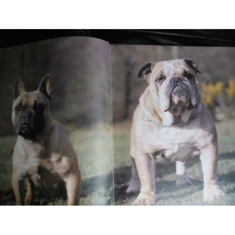 Mijn hond mijn Vriend ,Verzorging en E.H.B.O.