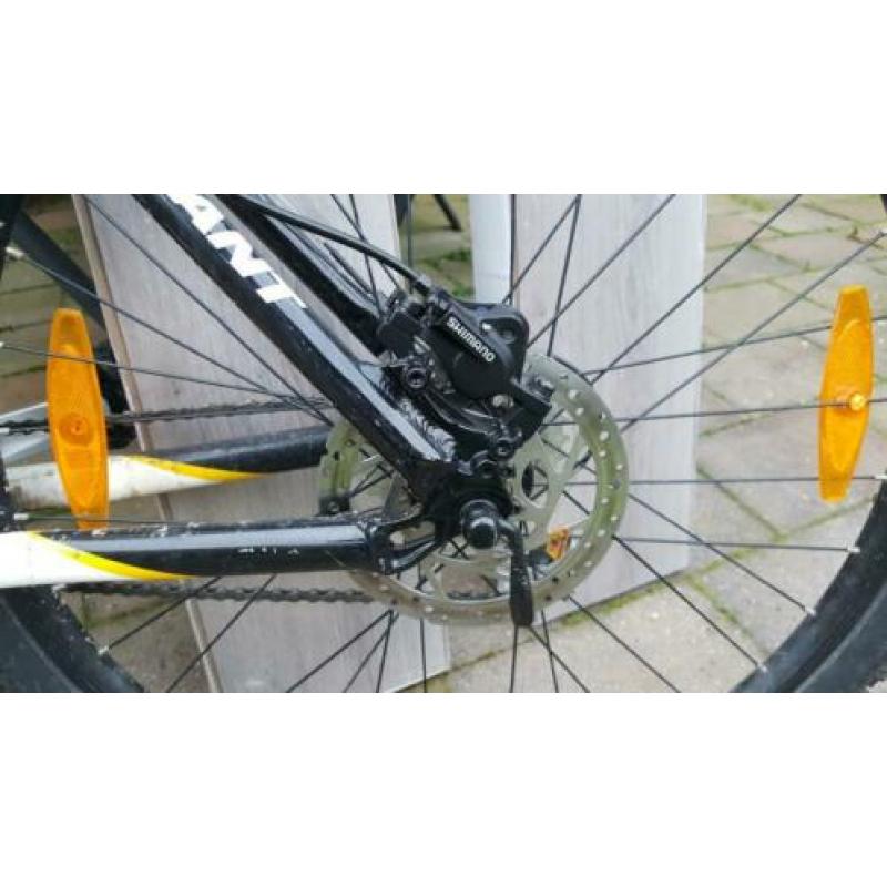 Mooie Giant Terrago 2 Disc