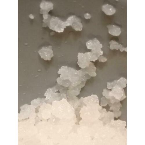T.K 250 gr grote biologische Waterkefir / Waterkefir korrels