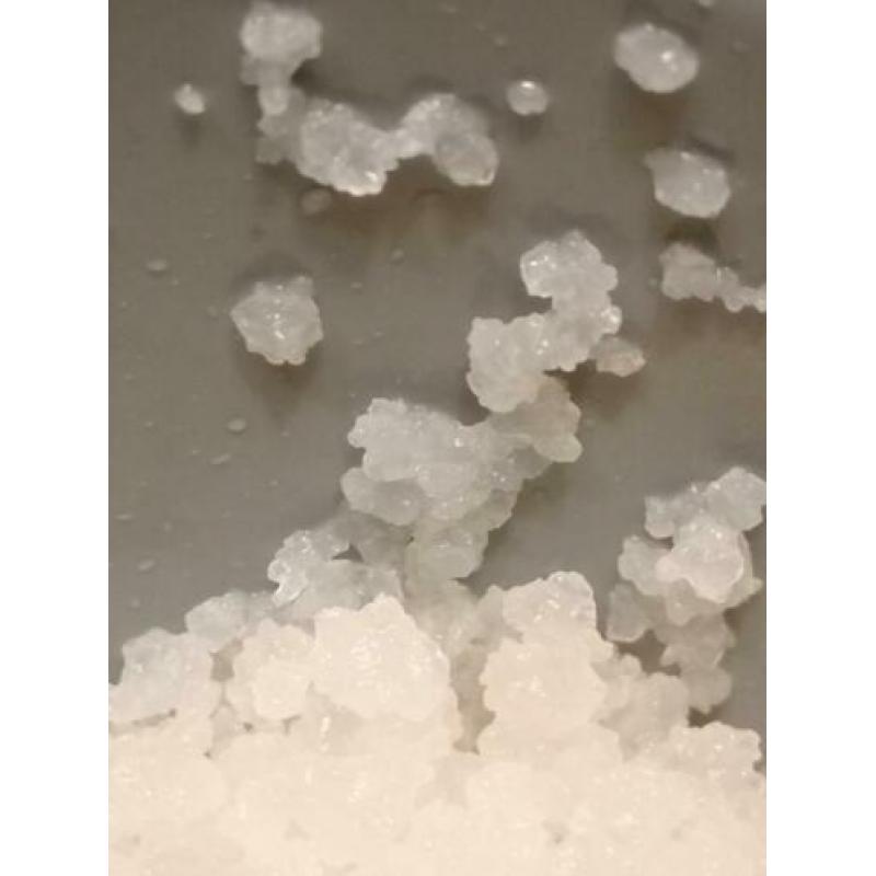 T.K 250 gr grote biologische Waterkefir / Waterkefir korrels
