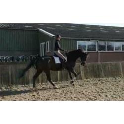 Lieve grote recreatie ruin