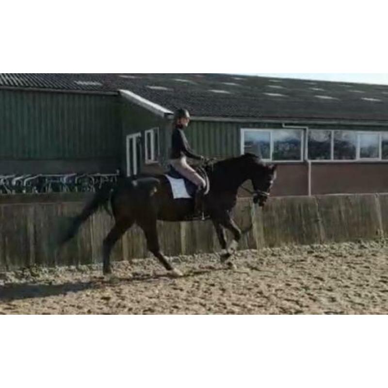 Lieve grote recreatie ruin