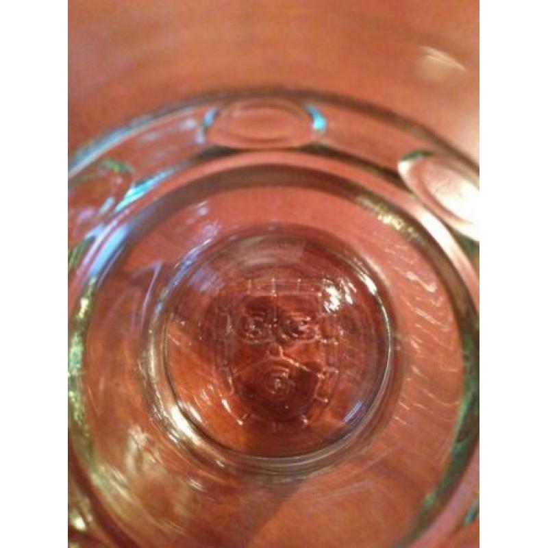 Gulpener Giganten glas 25cl. (A)