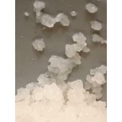 T.K 250 gr grote biologische Waterkefir / Waterkefir korrels