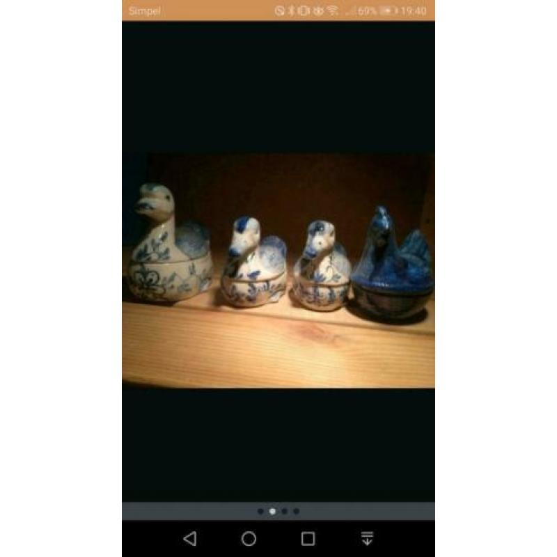 6 eendjes en 1 kippetje