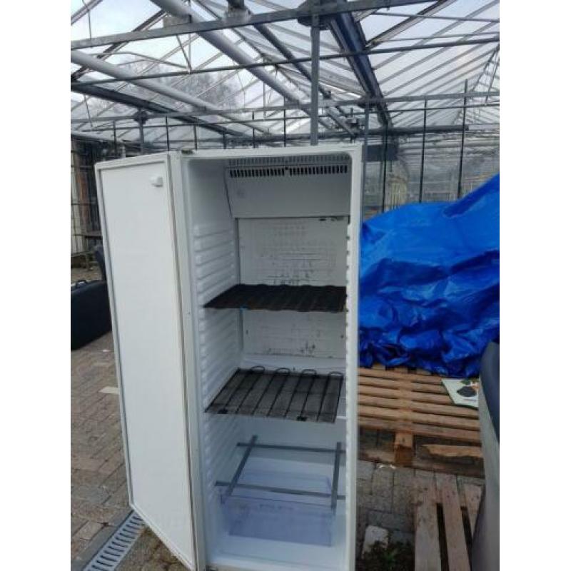 Koelkast horica Gram