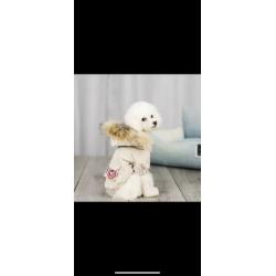 Doggy goose winterjasje Maat S, ongedragen