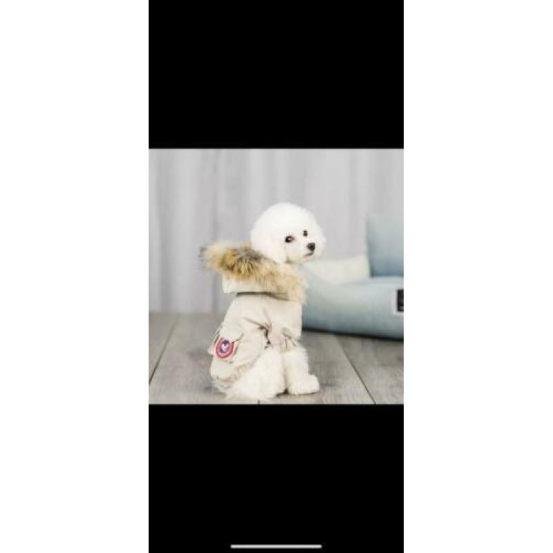 Doggy goose winterjasje Maat S, ongedragen