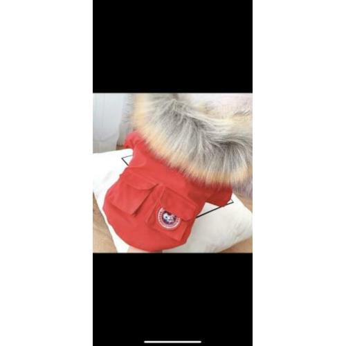 Doggy goose winterjasje Maat S, ongedragen
