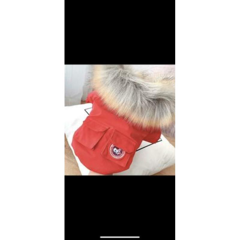 Doggy goose winterjasje Maat S, ongedragen