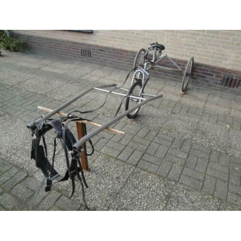 Driewieler pony kar voor ringrijden en beleren