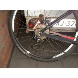 Canyon MTB 29er