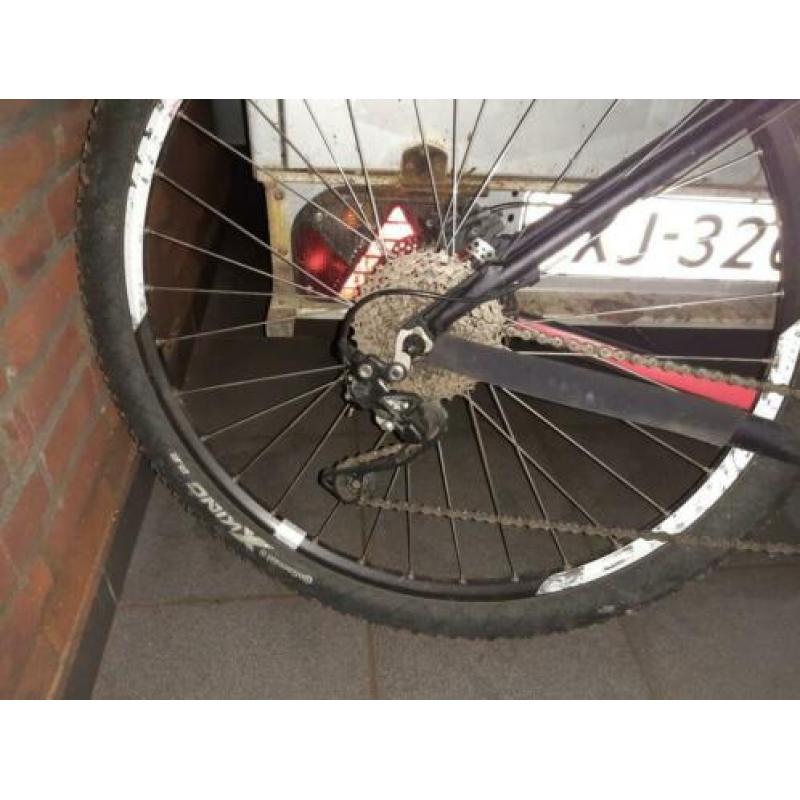 Canyon MTB 29er