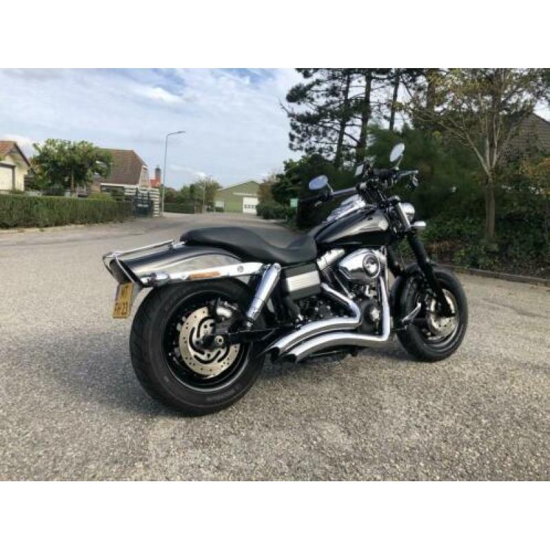 Harley-Davidson fatbob fat bob (bj 2008)