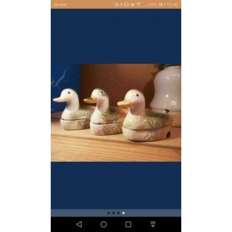 6 eendjes en 1 kippetje