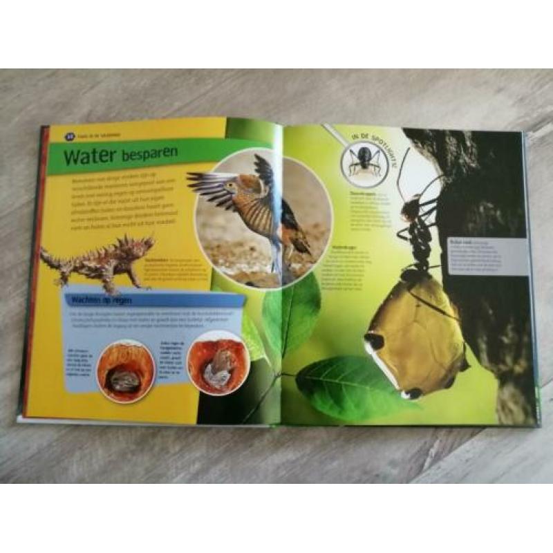 LEESBOEK / BOEK THUIS in de WILDERNIS, ANIMAL PLANET