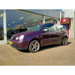 Volkswagen Polo 1.4-16V super leuke beginners auto !