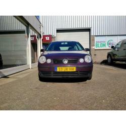 Volkswagen Polo 1.4-16V super leuke beginners auto !