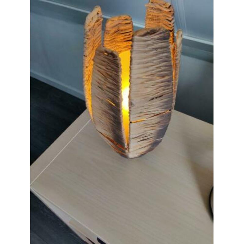 2 schermenlampen voor woon of slaapkamer.