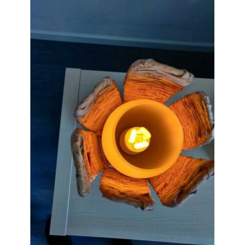 2 schermenlampen voor woon of slaapkamer.