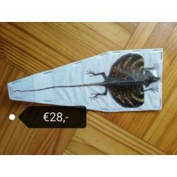 Diverse opgezette dieren, eventueel lijsten te koop