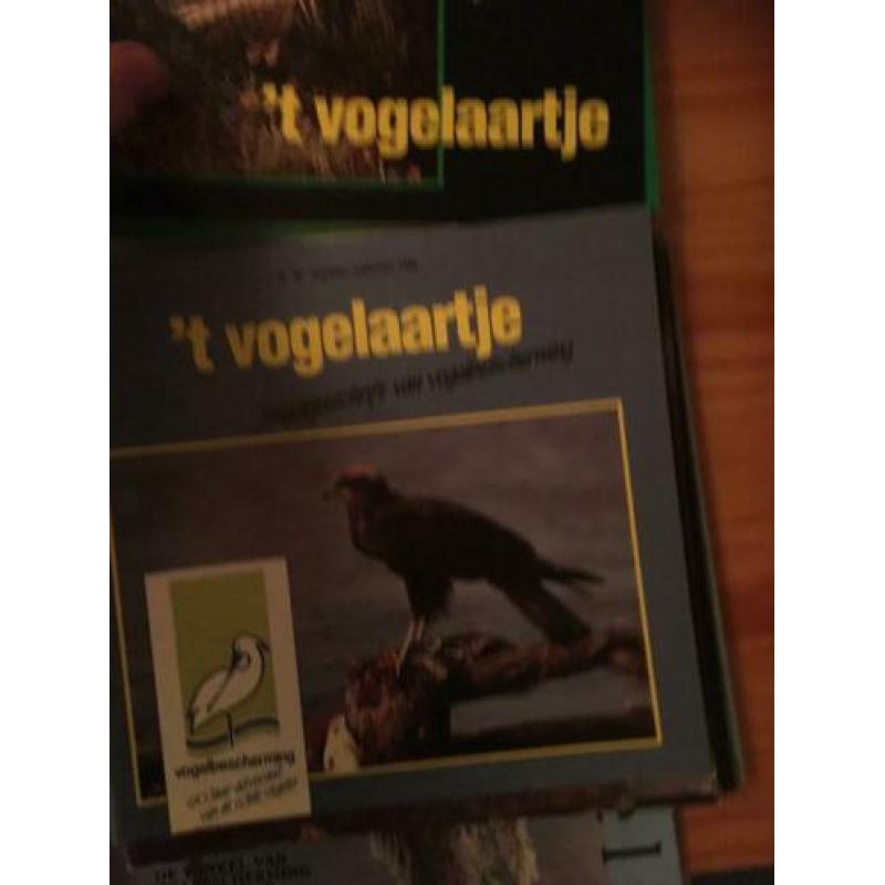 Vogel tijdschriften vrije vogels en 't vogelaartje