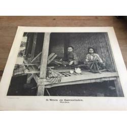 Indische schoolplaten uit 1911 - 1913, in totaal 11 stuks