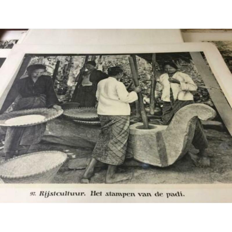 Indische schoolplaten uit 1911 - 1913, in totaal 11 stuks