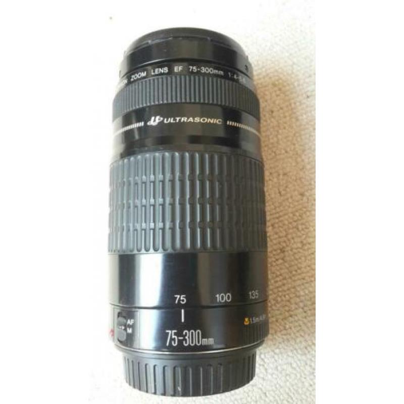 Canon 310/ digitale spiegelrefelex camera