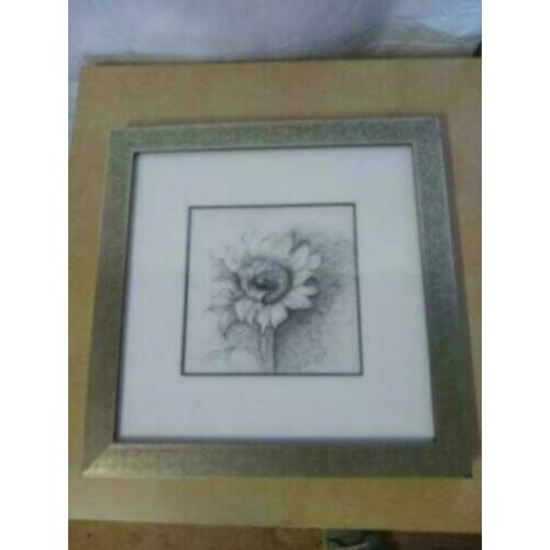 Zwart wit tekening zilveren lijst zonnebloem Oelen- Withaar