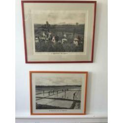Indische schoolplaten uit 1911 - 1913, in totaal 11 stuks