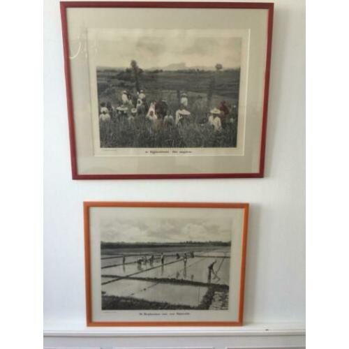 Indische schoolplaten uit 1911 - 1913, in totaal 11 stuks