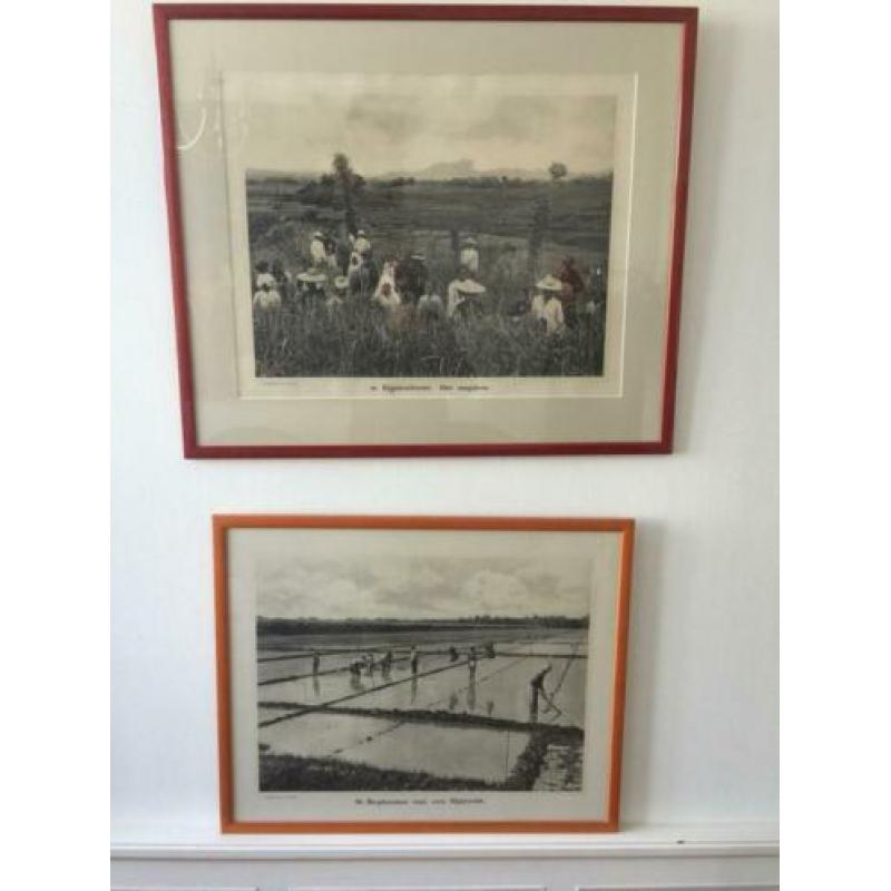 Indische schoolplaten uit 1911 - 1913, in totaal 11 stuks