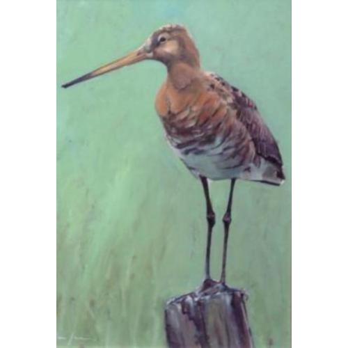 Vogel schilderijen Robin dArcy Shillcock, van Ommen, Jansma