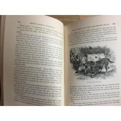 Wyss The Swiss family Robinson ca 1900 met vele illustraties