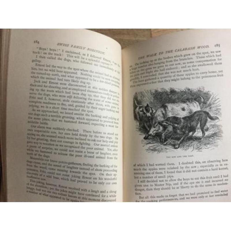 Wyss The Swiss family Robinson ca 1900 met vele illustraties