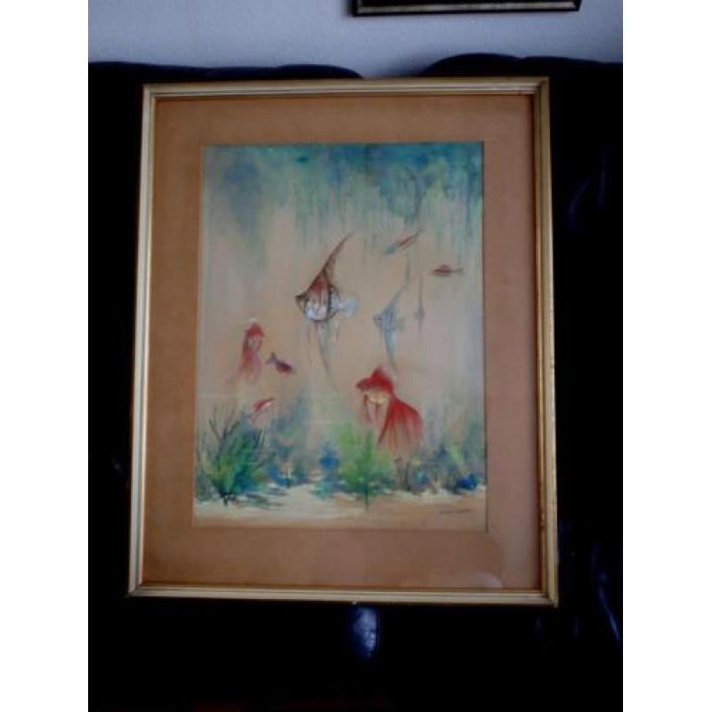 vissen in het aquarium - Henri Taverne 1896-1965