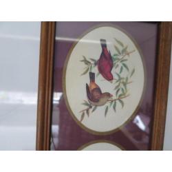 mooie vogels 43/15 cm ingelijst achter glas