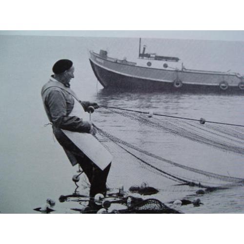 De ruige Biesbosch - 1968