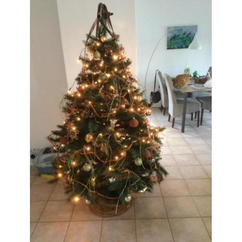 Kunst kerstboom Triump Tree