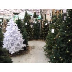 Led Kerstboom 185 cm / Groen (showmodel) half pe-pvc 103
