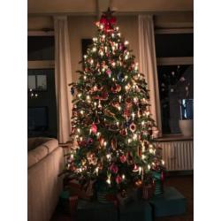 Kunstkerstboom Triumph Tree Swiss Alpine 260cm !