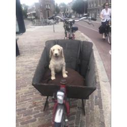 Bakfiets