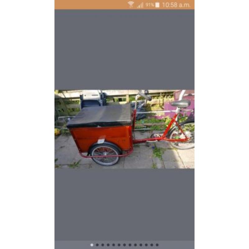 bakfiets T Mannetje 6 versnelling met deurtje 2 kids of Hond