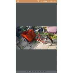 bakfiets T Mannetje 6 versnelling met deurtje 2 kids of Hond