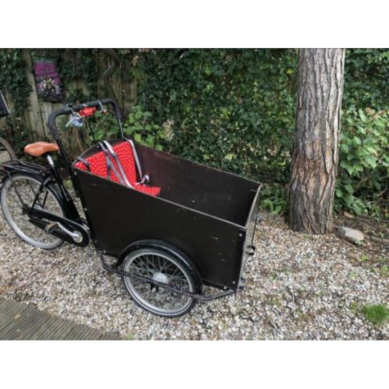 Bakfiets te koop met 3 versnellingen!