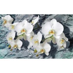 Fotobehang ORCHIDEE Gratis Lijm en Verzenden 11669