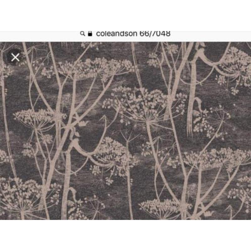 Behang Cole & Son, Cole and Son , little greene nieuw €745,-