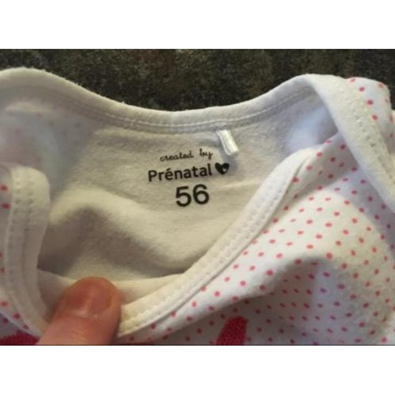 Setje maat 50/56 meisje