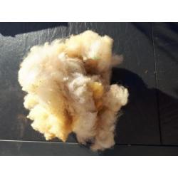 40 gram Antidrukwol om mee te wandelen / schapenwol